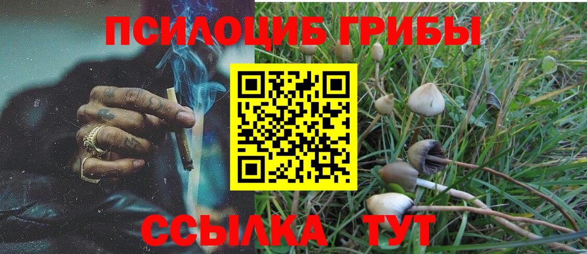 Псилоцибиновые грибы GOLDEN TEACHER Бугуруслан